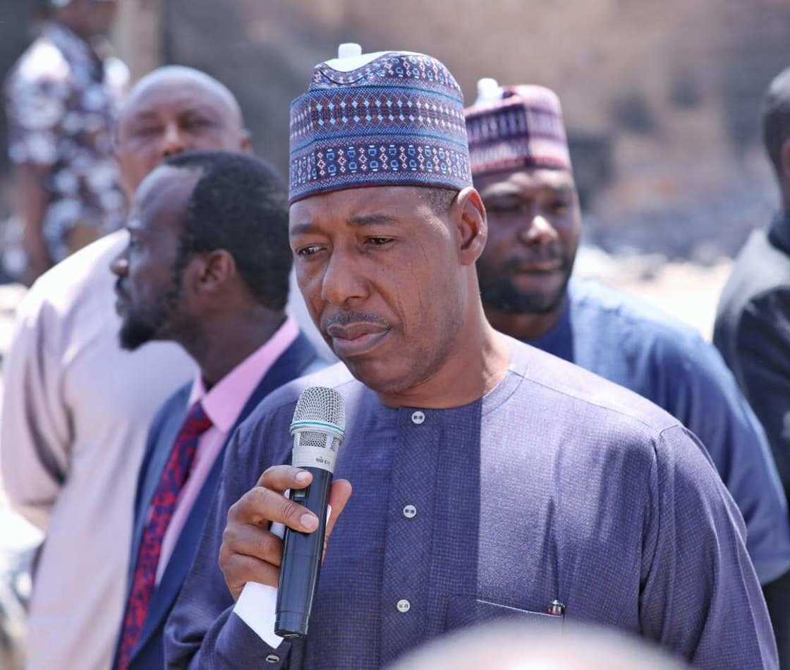 Prof. Babagana Umara Zulum, Borno state, March 18 election