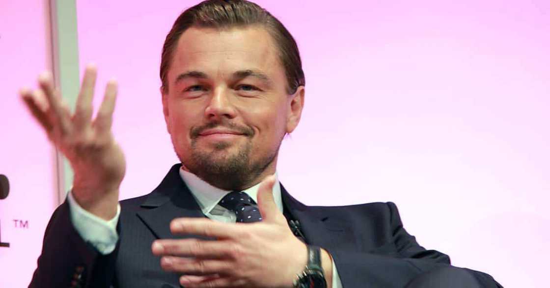 Leonardo ‘TreeCaprio’: New Species of Plant Named After the Actor & Climate Activist