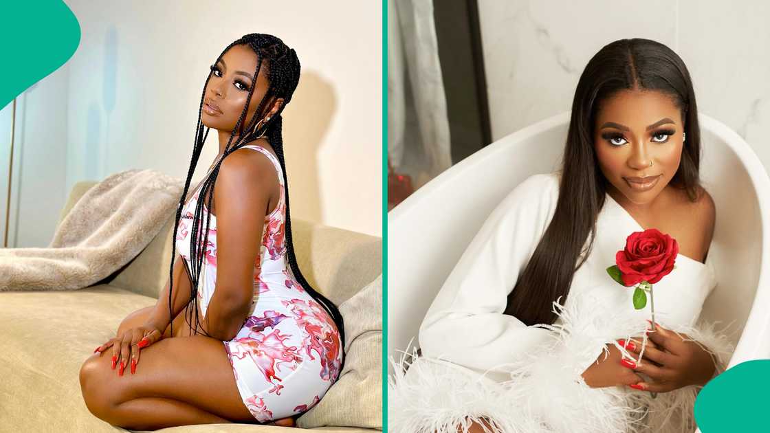 Sophia Momodu gets dragged by real estate company Sophia Momodu gets dragged by real estate company