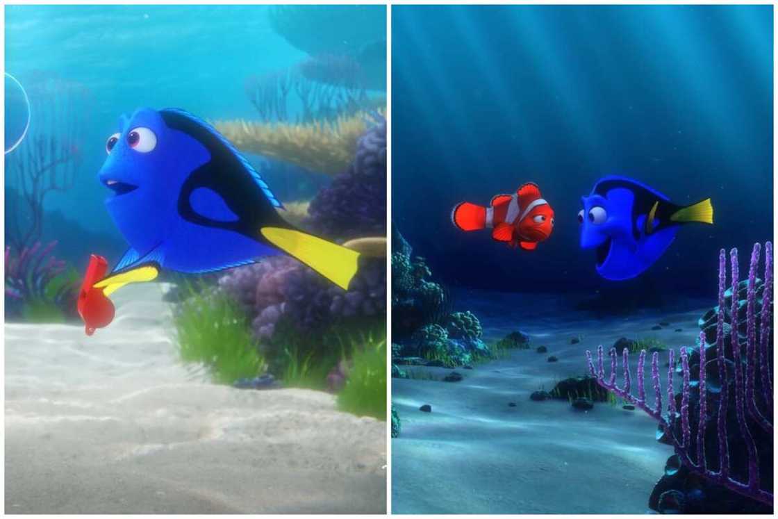 Dory from Finding Nemo