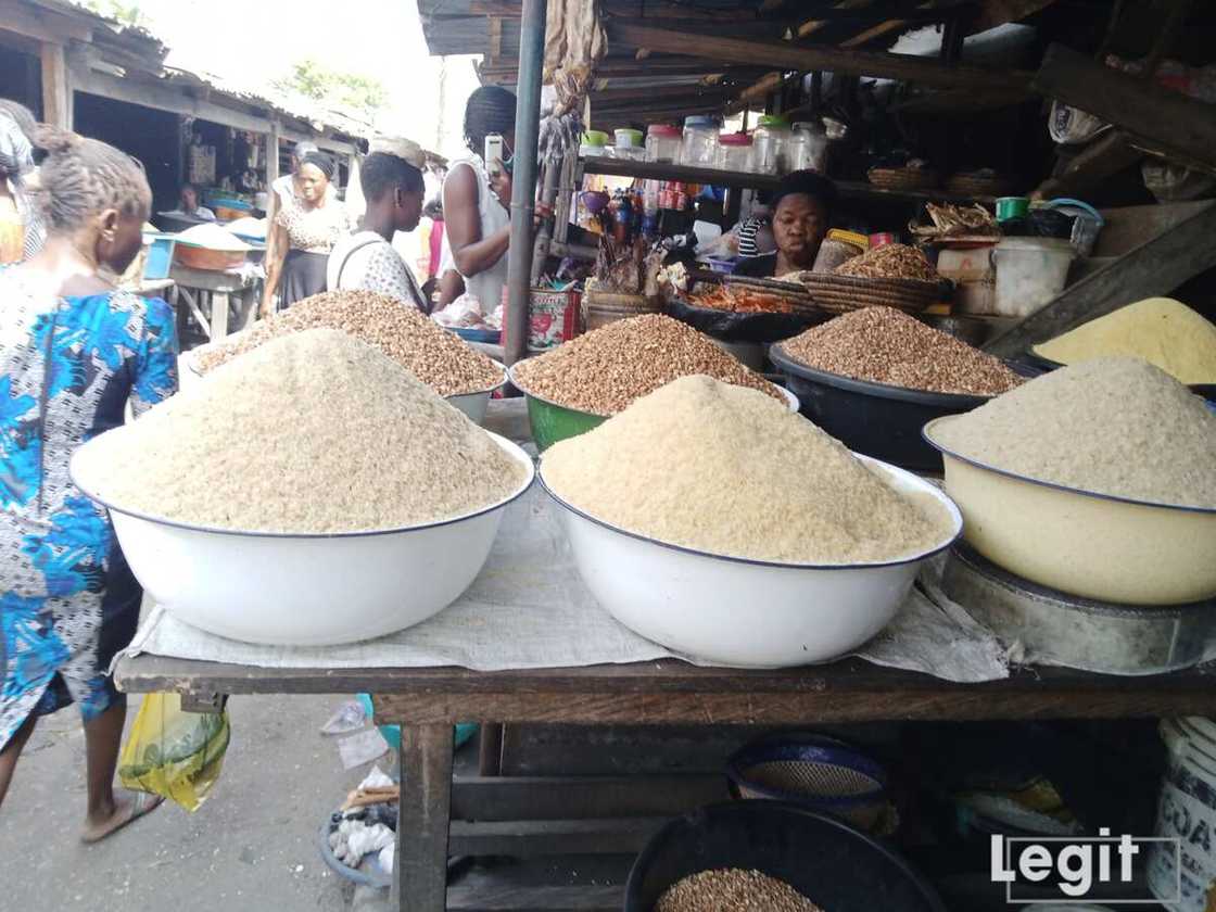 Katsina: Buhunan hatsi su na yin sauki bayan shigowar amfanin gona Katsina: Buhunan hatsi su na yin sauki bayan shigowar amfanin gona