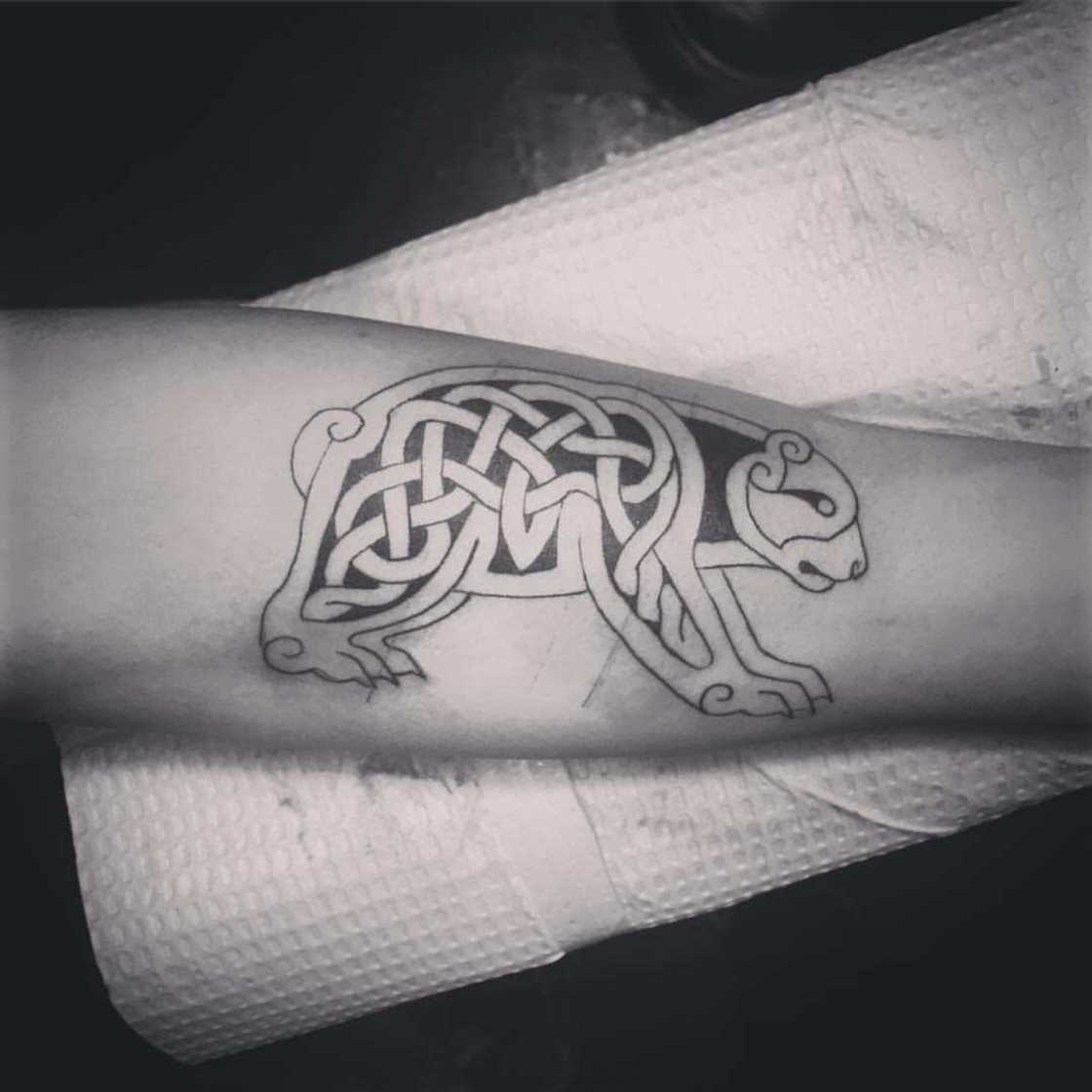 bear tattoo bear tattoo