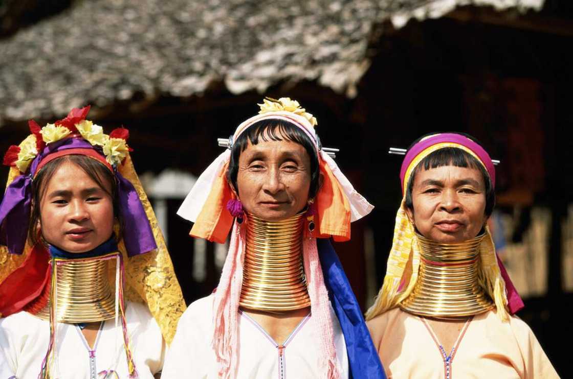 femmes girafes femmes girafes