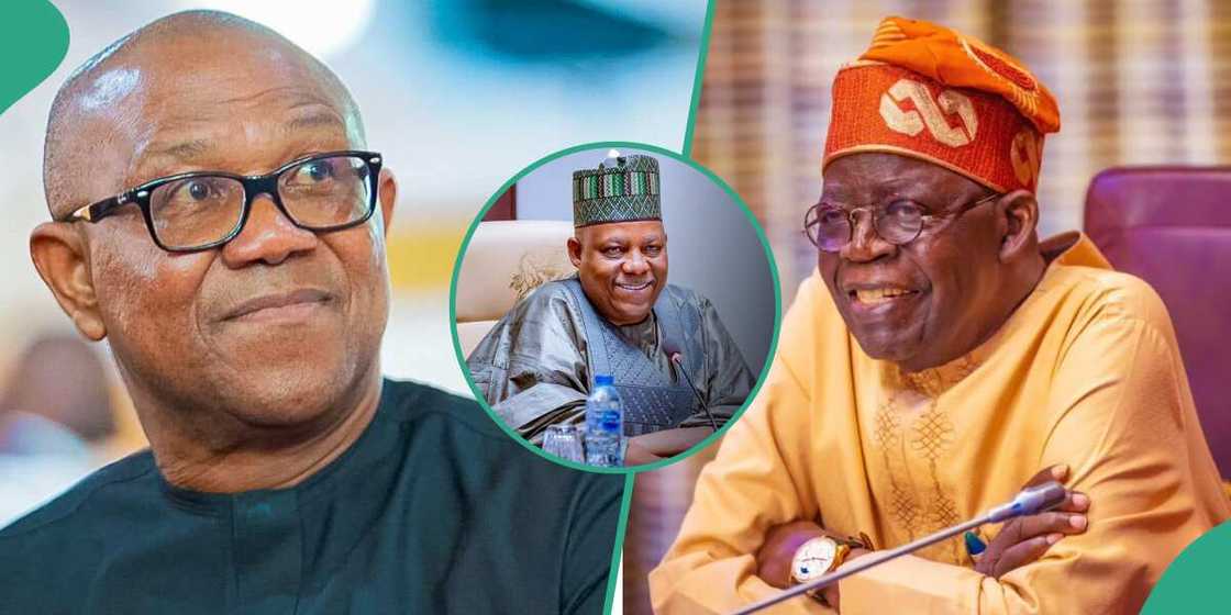 Suprme Court, Bola Tinubu, Peter Obi, APC, 2023 elections