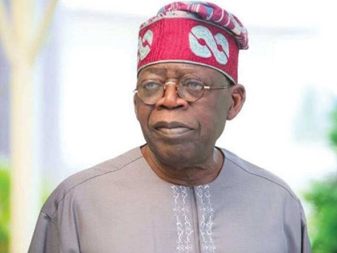 Tinubu ba barawo bane, ba zai saci kudin Najeriya ba, inji jigon APC Tinubu ba barawo bane, ba zai saci kudin Najeriya ba, inji jigon APC