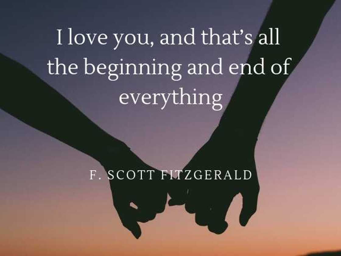 Fitzgerald quote