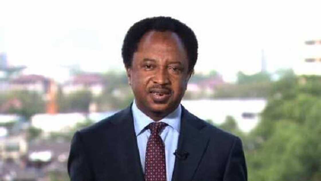 Shehu Sani says it is failure on FG’s part to blame attacks on COVID-19 restrictions Shehu Sani says it is failure on FG’s part to blame attacks on COVID-19 restrictions