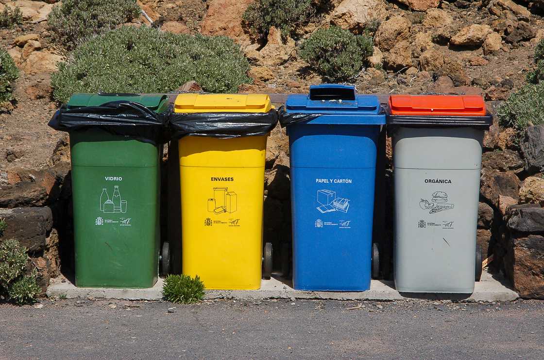 Multi-coloured trash bins with designated labels