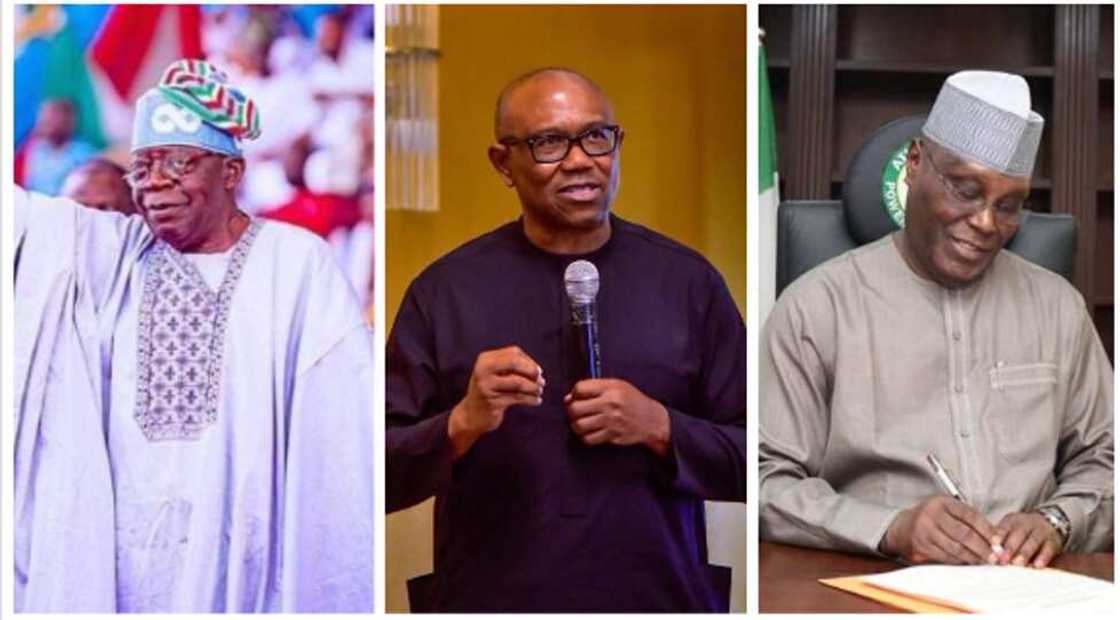 Tinubu supporters belittle Peter Obi, Atiku Tinubu supporters belittle Peter Obi, Atiku