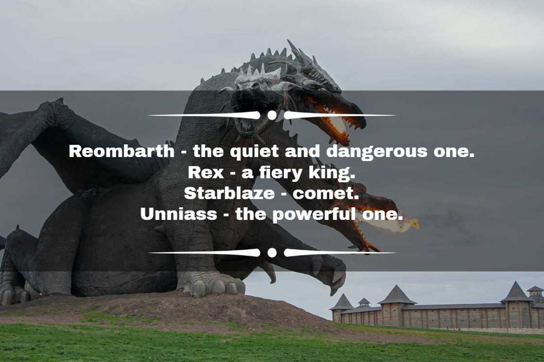 Fire dragon names Fire dragon names