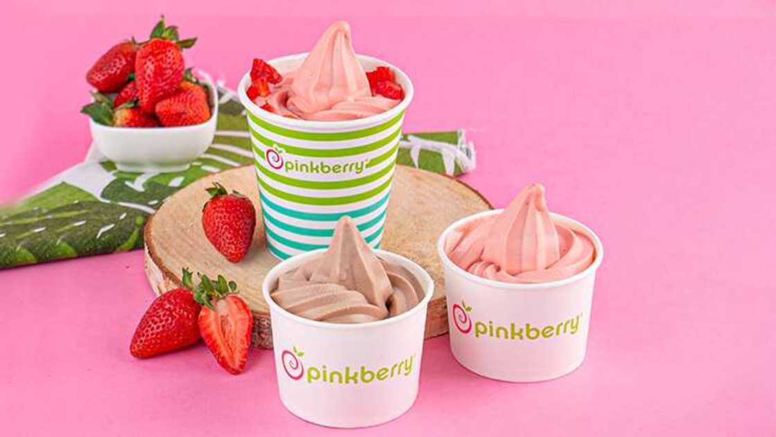 Experience a Guilt-Free Indulgence All Through the Christmas season with Pinkberry