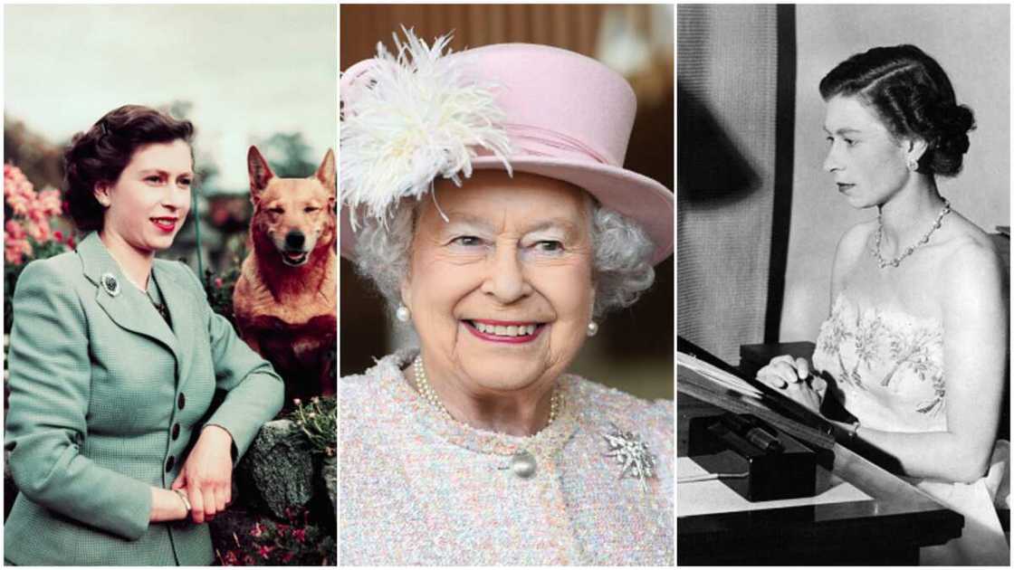 Queen Elizabeth loves dogs and horses/the queen had paid Germany a historic visit. Queen Elizabeth loves dogs and horses/the queen had paid Germany a historic visit.
