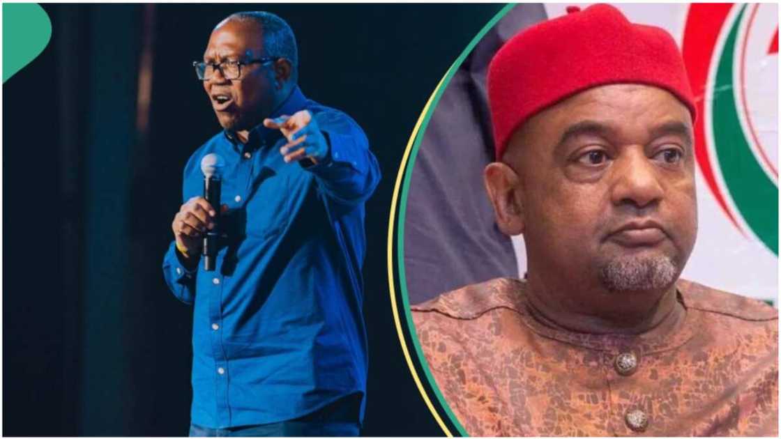 Peter Obi/PDP/2024/Labour Party Peter Obi/PDP/2024/Labour Party