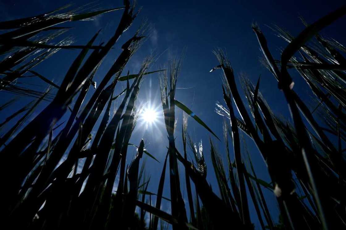 Experts warn of high risk of fires in northern Europe this year Experts warn of high risk of fires in northern Europe this year