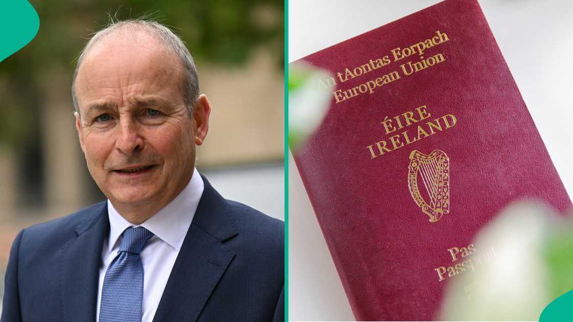 See 1 category of foreigners from paying Ireland citizenship certificate fee