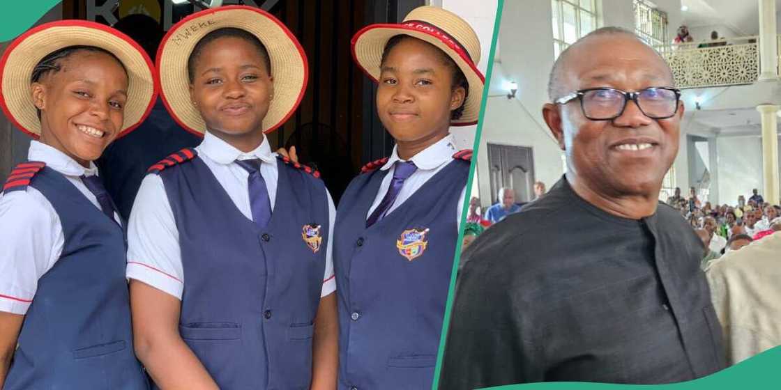 Peter Obi delighted as Anambra wins girls ICT competition Peter Obi delighted as Anambra wins girls ICT competition