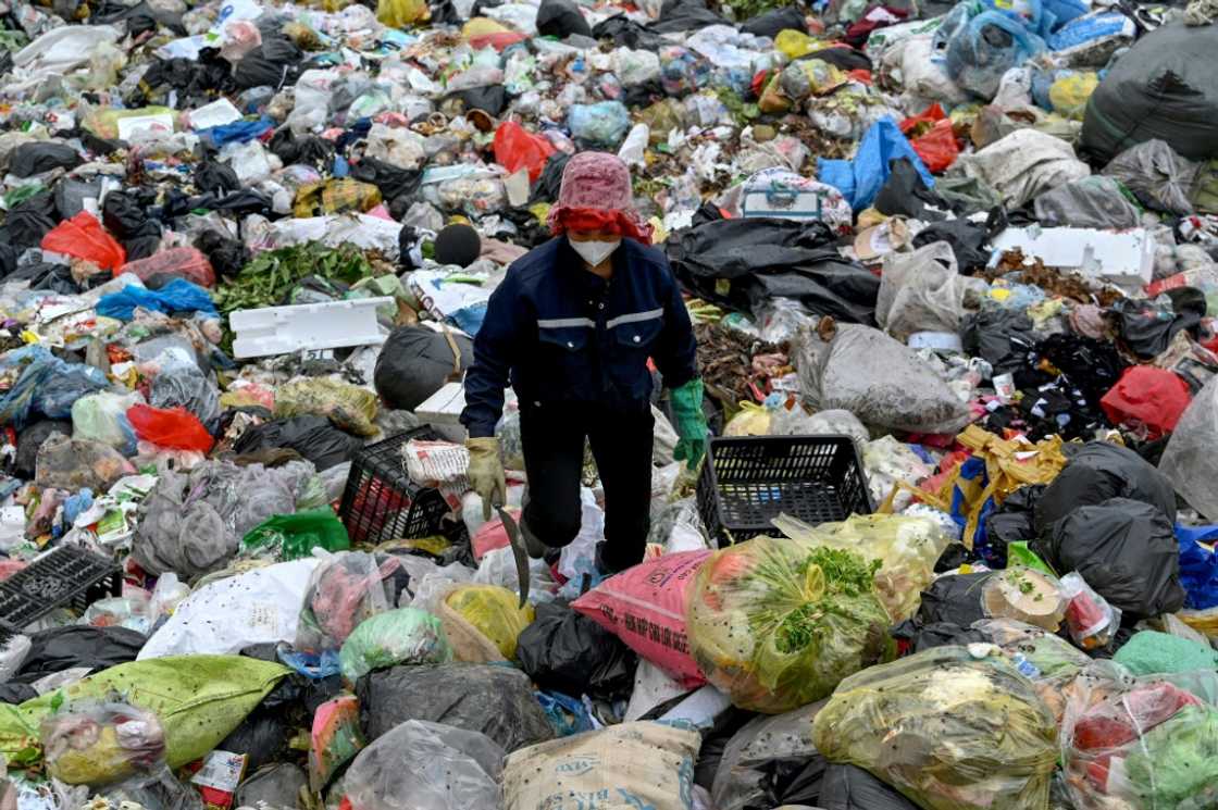 A woman picks up plastic waste at a landfill on the outskirts of Hanoi A woman picks up plastic waste at a landfill on the outskirts of Hanoi