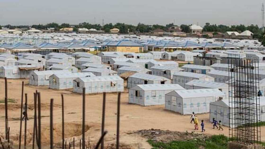 Yadda kawuna dan Boko Haram ya dinga lalata dani a matsayin ganima Yadda kawuna dan Boko Haram ya dinga lalata dani a matsayin ganima