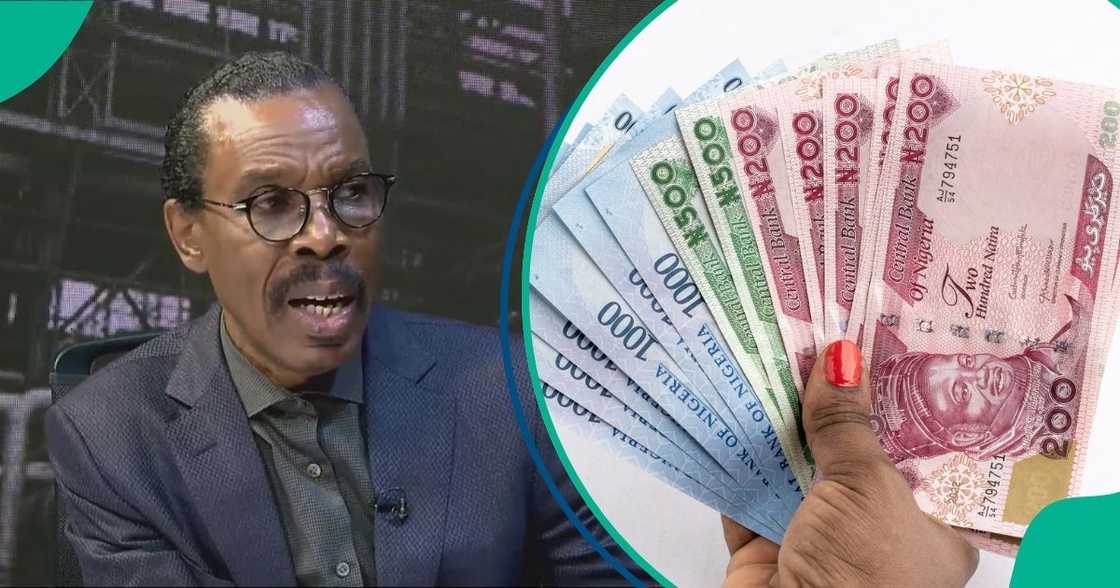 Bismarck Rewane predicts FX rates Bismarck Rewane predicts FX rates