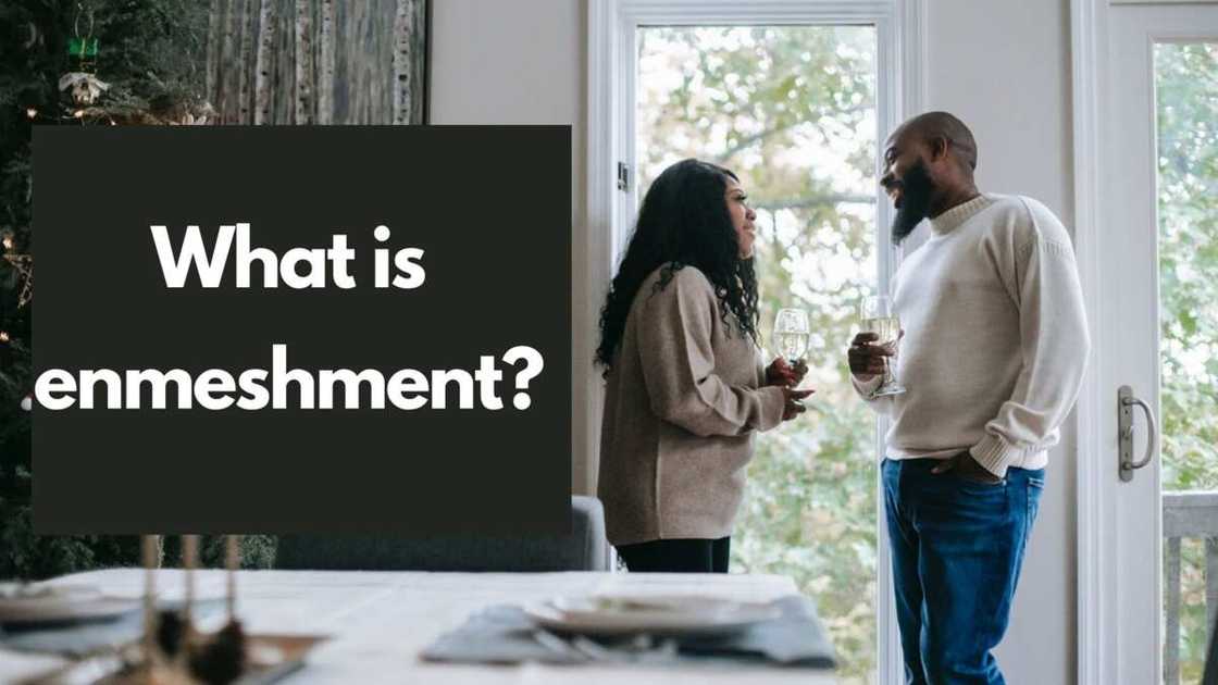 enmeshment enmeshment