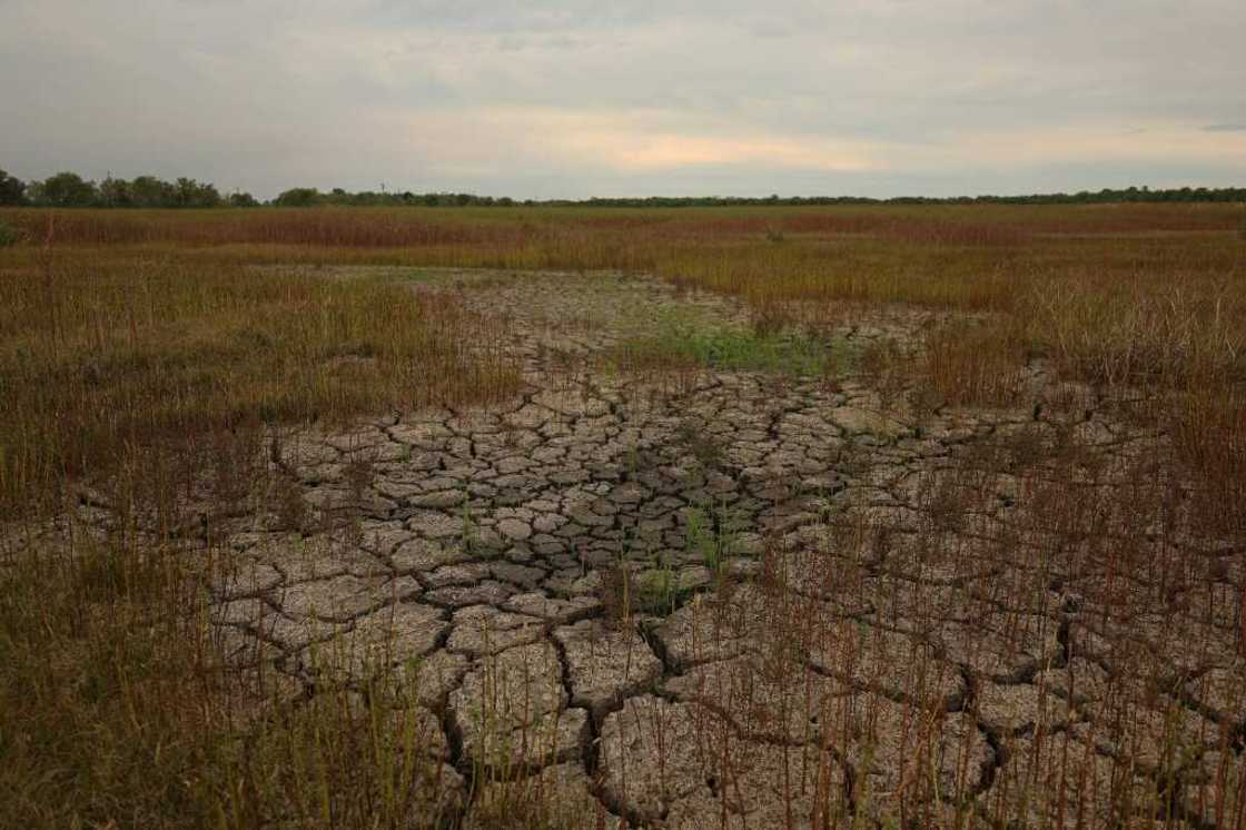 The frequency of disasters is increasing and so is their impact on food production, the UN's Food and Agricultural Organization warns