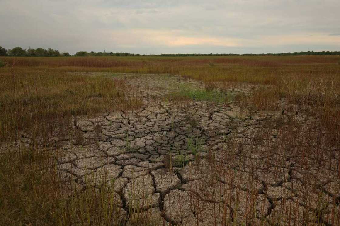 The frequency of disasters is increasing and so is their impact on food production, the UN's Food and Agricultural Organization warns The frequency of disasters is increasing and so is their impact on food production, the UN's Food and Agricultural Organization warns