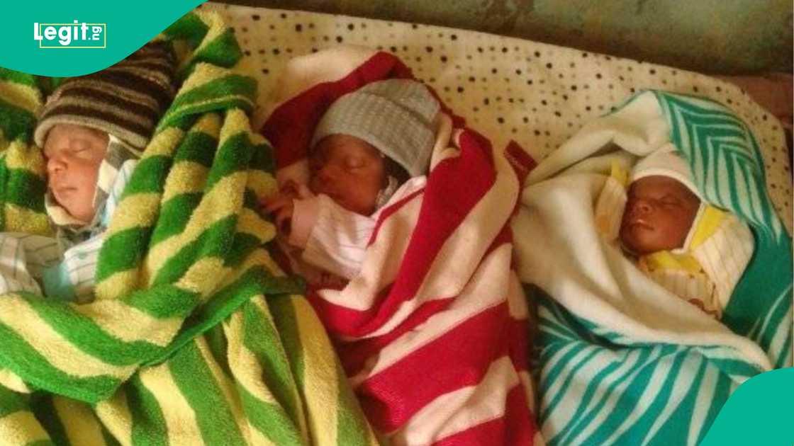 Man runs away after his wife gave birth to triplets. Man runs away after his wife gave birth to triplets.