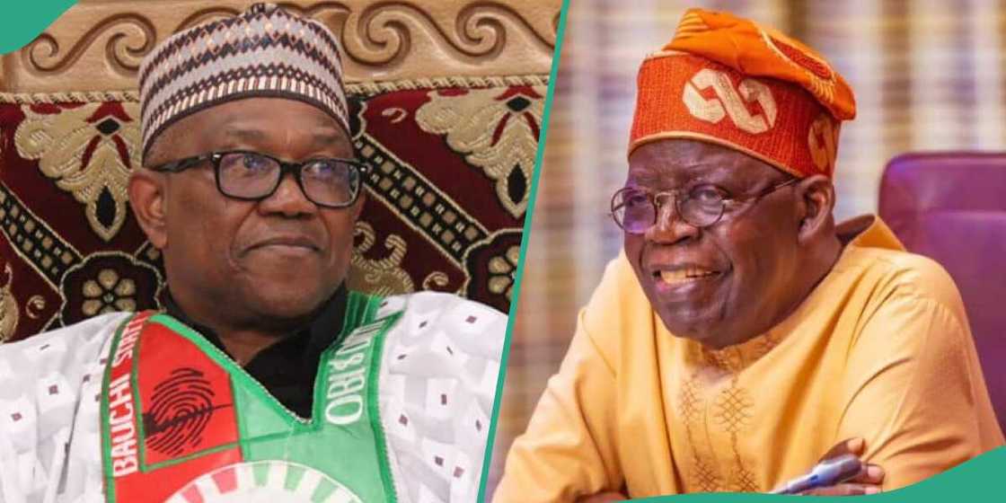 Peter Obi, Bola Tinubu Peter Obi, Bola Tinubu