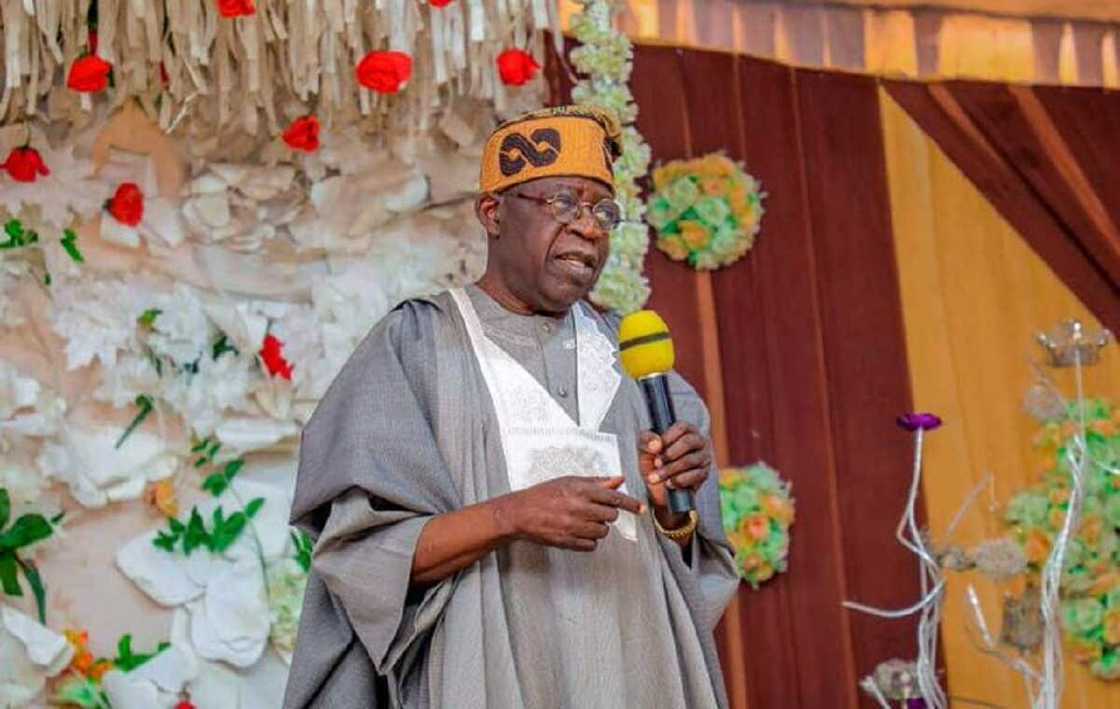 Tinubu: Ƙaruwar Ƴan Takarar Shugaban Ƙasa Alheri Ne Ga Demokraɗiyya Tinubu: Ƙaruwar Ƴan Takarar Shugaban Ƙasa Alheri Ne Ga Demokraɗiyya