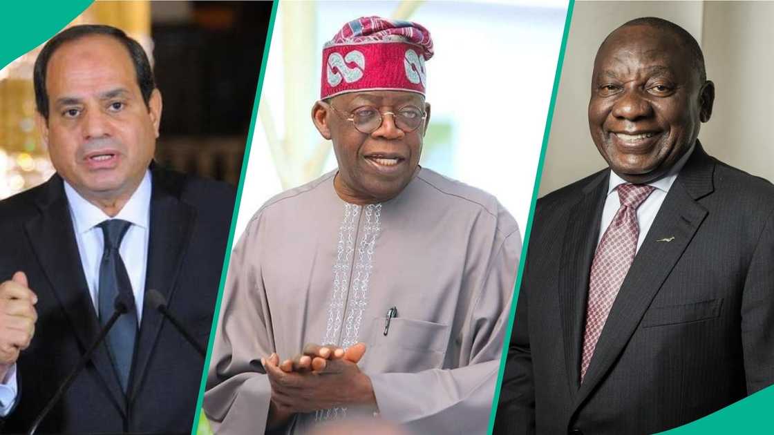 Top 10 Largest Economies in Africa 2026: Nigeria, Egypt, South Africa Dominate New IMF Ranking Top 10 Largest Economies in Africa 2026: Nigeria, Egypt, South Africa Dominate New IMF Ranking