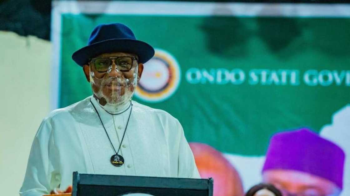 Rotimi Akeredolu blasts his counterparts supporting Governor Mai Mala Buni