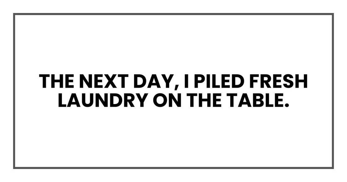 The next day, I piled fresh laundry on the table. The next day, I piled fresh laundry on the table.