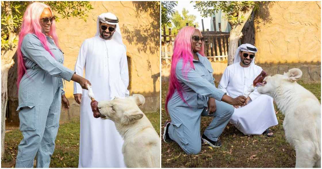 DJ Cuppy pays a visit to pet lion cub named after her in Dubai DJ Cuppy pays a visit to pet lion cub named after her in Dubai