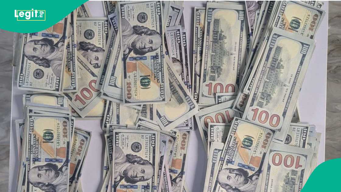 Dalolin bogi da aka kama a Kaduna
