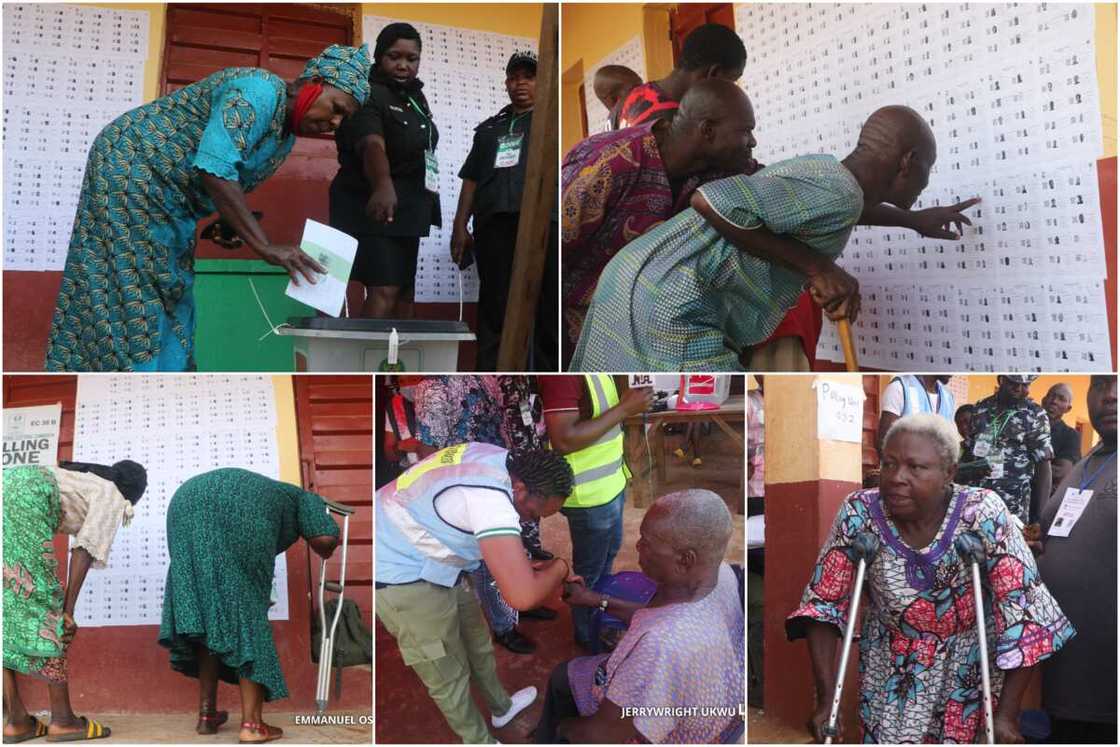 Anambra election: Surprise as aged persons shun fears, vote for their candidates Anambra election: Surprise as aged persons shun fears, vote for their candidates