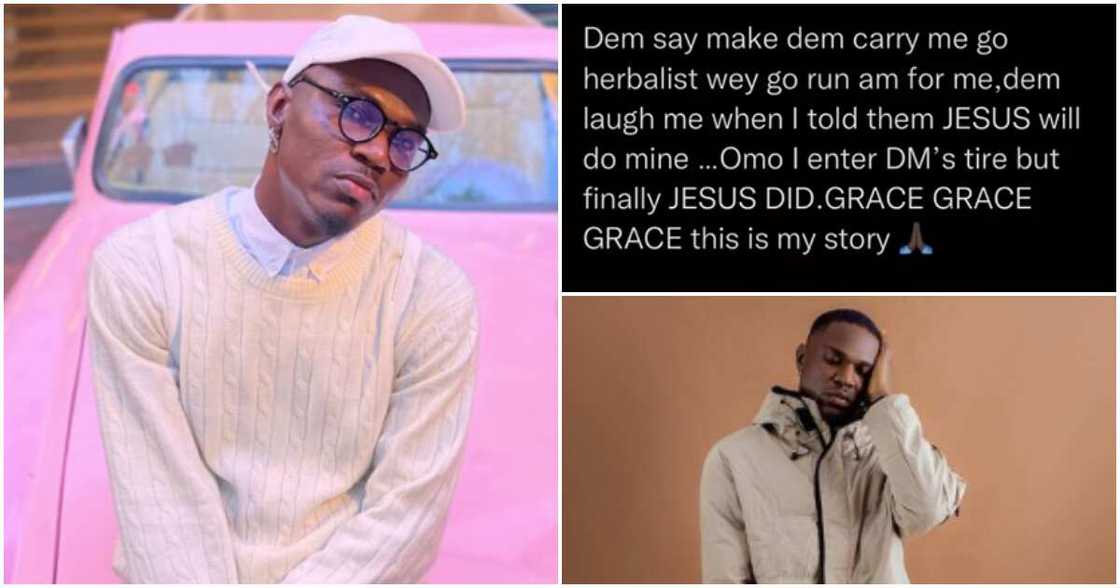 Photos of Spyro Photos of Spyro