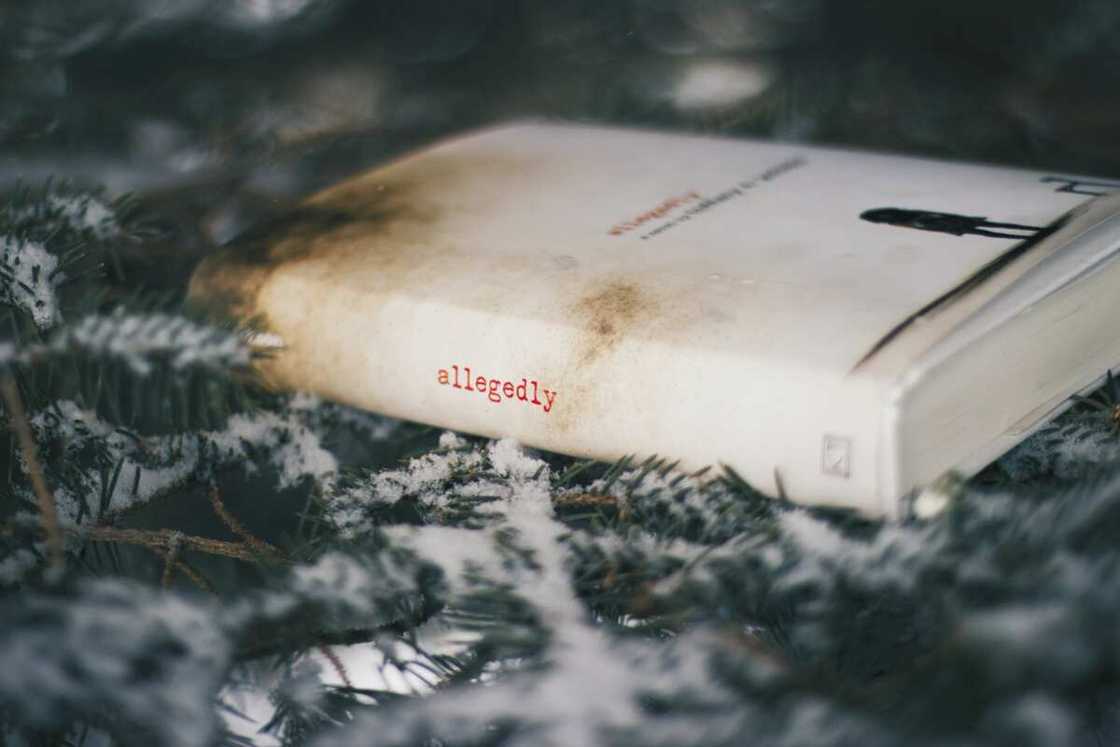 new mystery books new mystery books