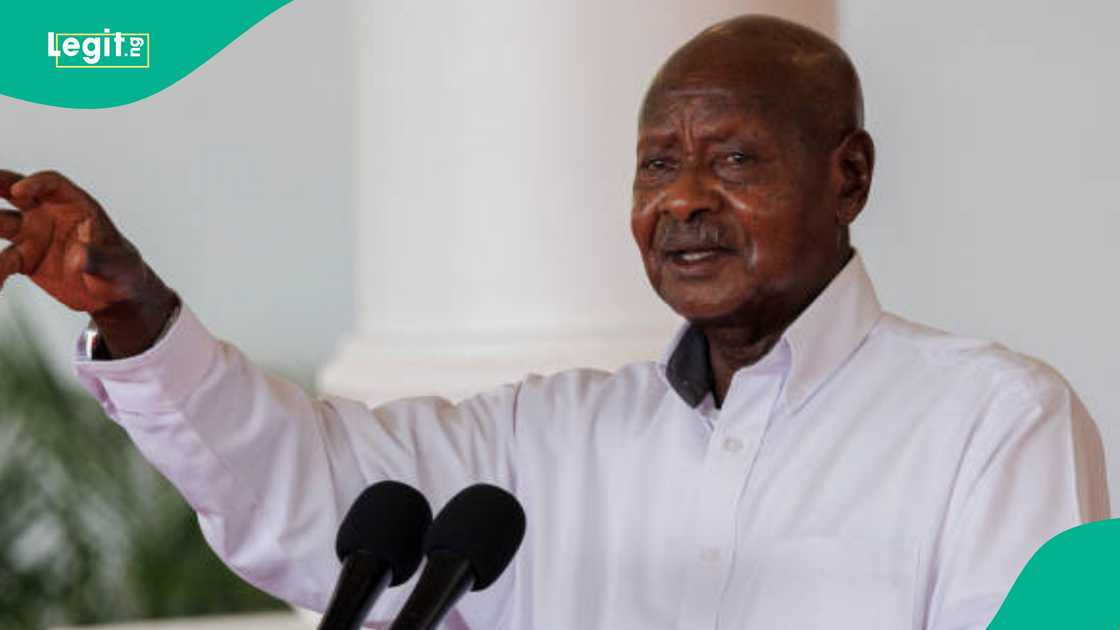 At 81, Museveni seeks another mandate in Uganda At 81, Museveni seeks another mandate in Uganda