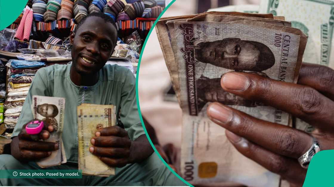 The US dollar is expected to crash further against the naira The US dollar is expected to crash further against the naira