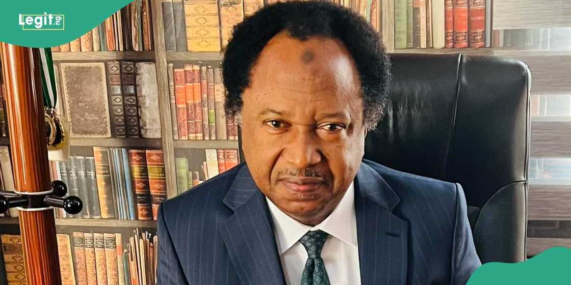 Abuja kidnapping: Shehu Sani reveals reasons for increasing crime Rate in FCT Abuja kidnapping: Shehu Sani reveals reasons for increasing crime Rate in FCT
