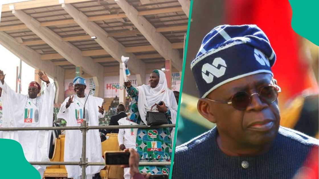 Bola Tinubu