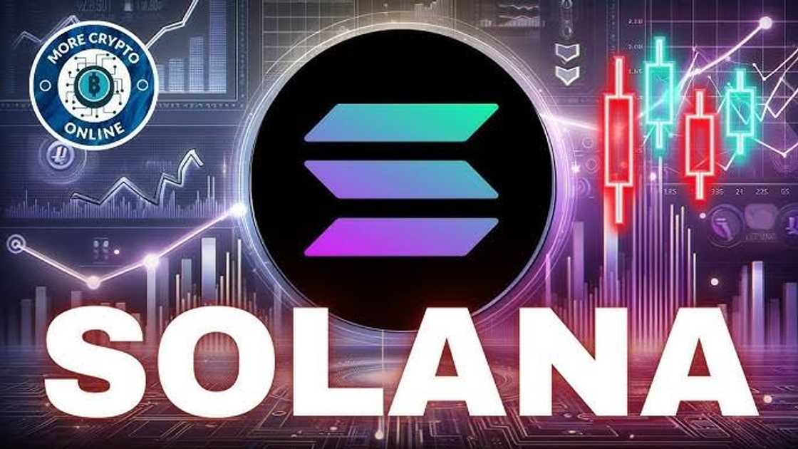 What Solana Price Teaches Us About Risk, Innovation, and Investor Confidence What Solana Price Teaches Us About Risk, Innovation, and Investor Confidence