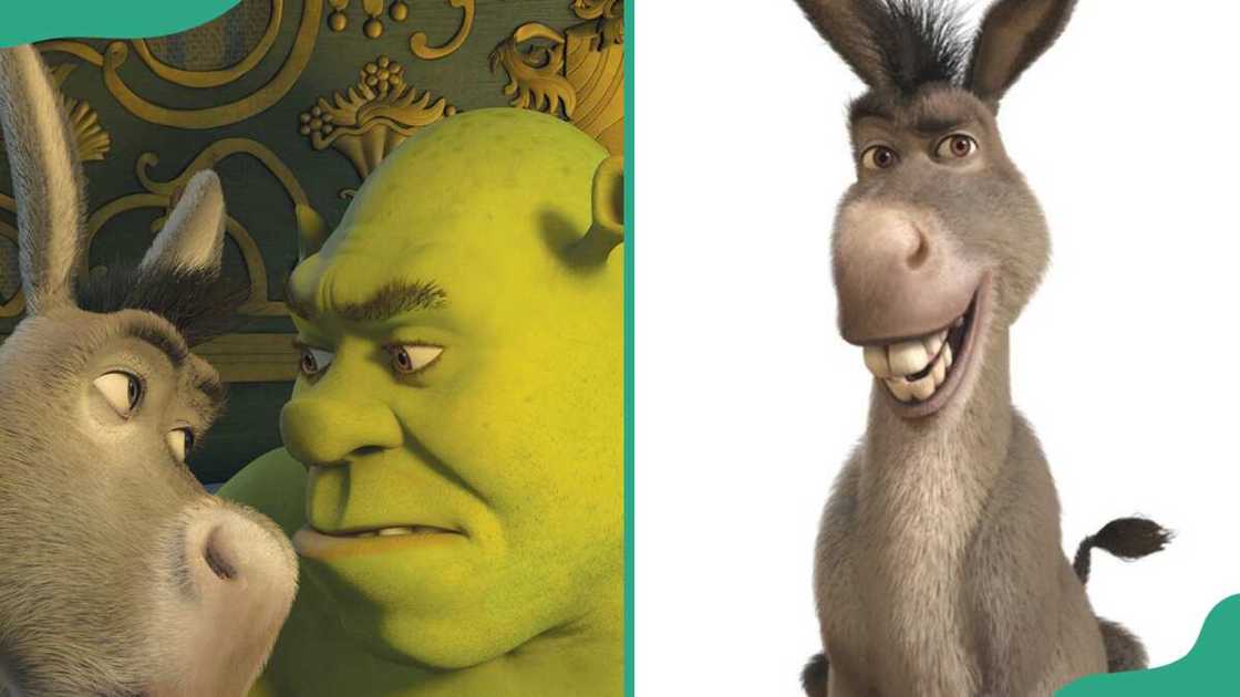 Shrek and Donkey Shrek and Donkey