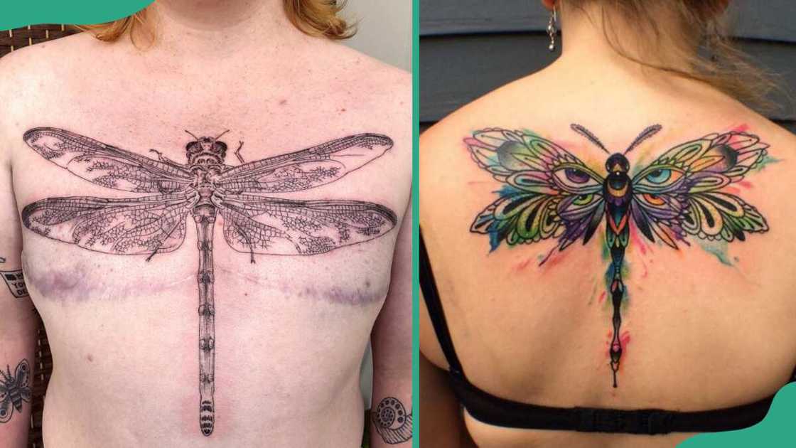 Large dragonfly tattoos Large dragonfly tattoos