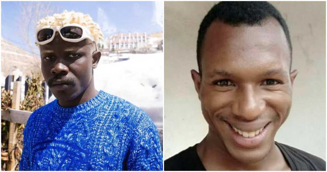 TG Omori replies Daniel Regha TG Omori replies Daniel Regha