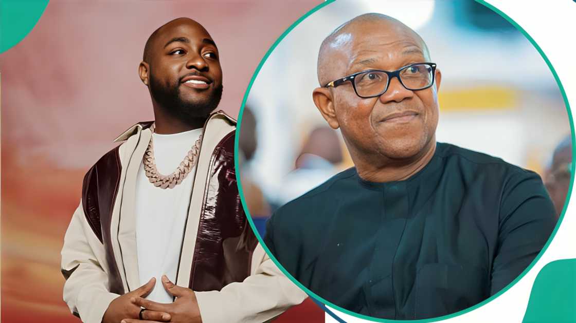 Davido reacts to Peter Obi’s response as politicians face challenge to explain their wealth Davido reacts to Peter Obi’s response as politicians face challenge to explain their wealth