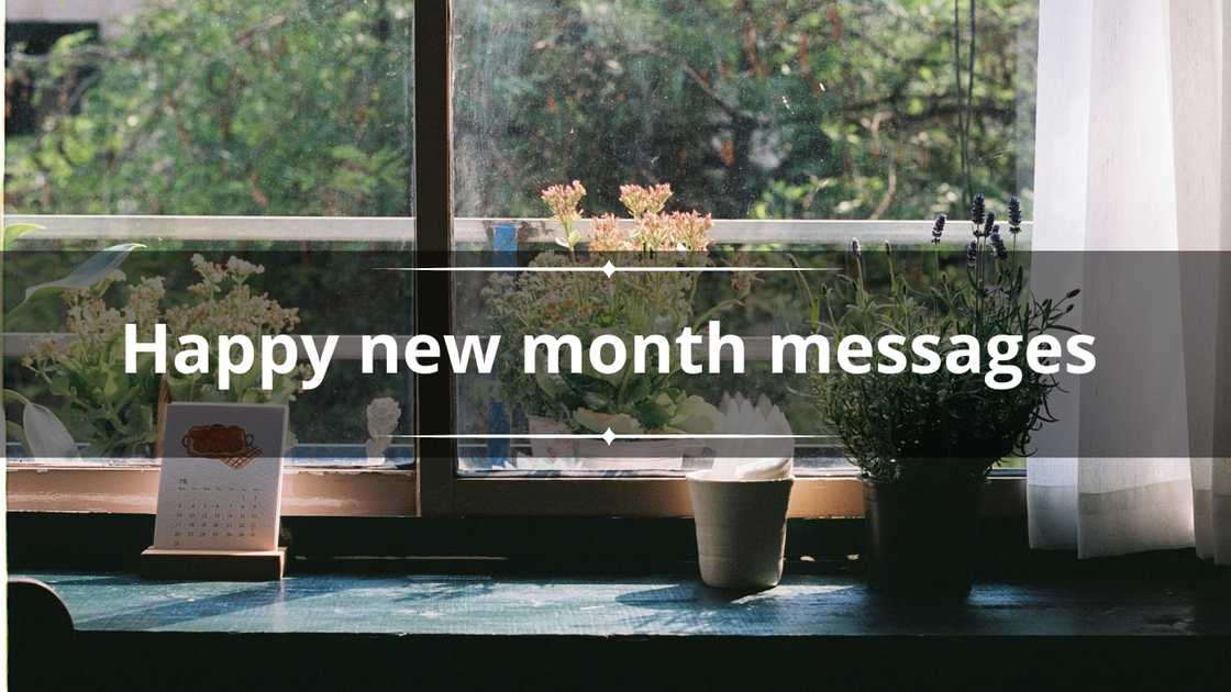 Plants and a calendar are placed by the window