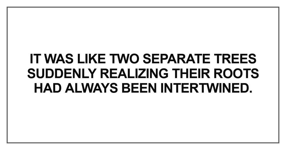 It was like two separate trees suddenly realizing their roots had always