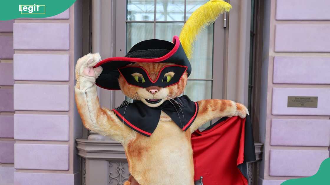 Puss in Boots Puss in Boots