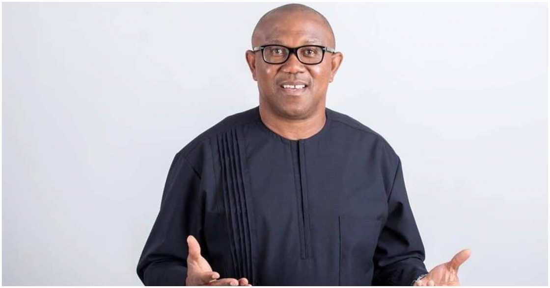 Peter Obi, 2023 election, Labour Party